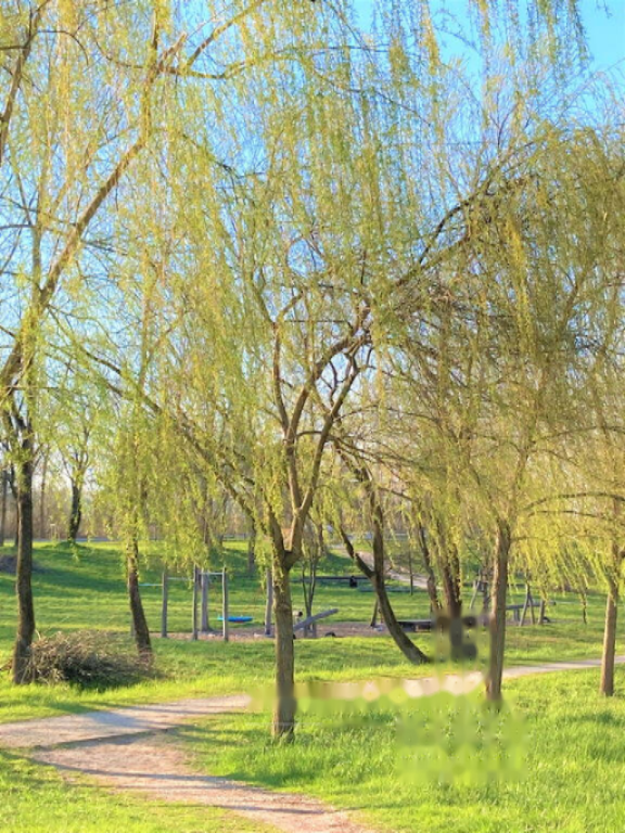 Terreno a Lubiana, Slovenia, 4 936 m2 - foto 2