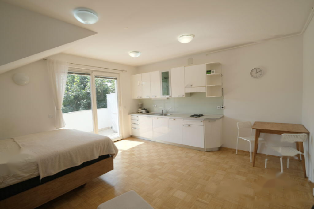 Flat in Ljubljana, Slovenia, 37 m² - picture 1