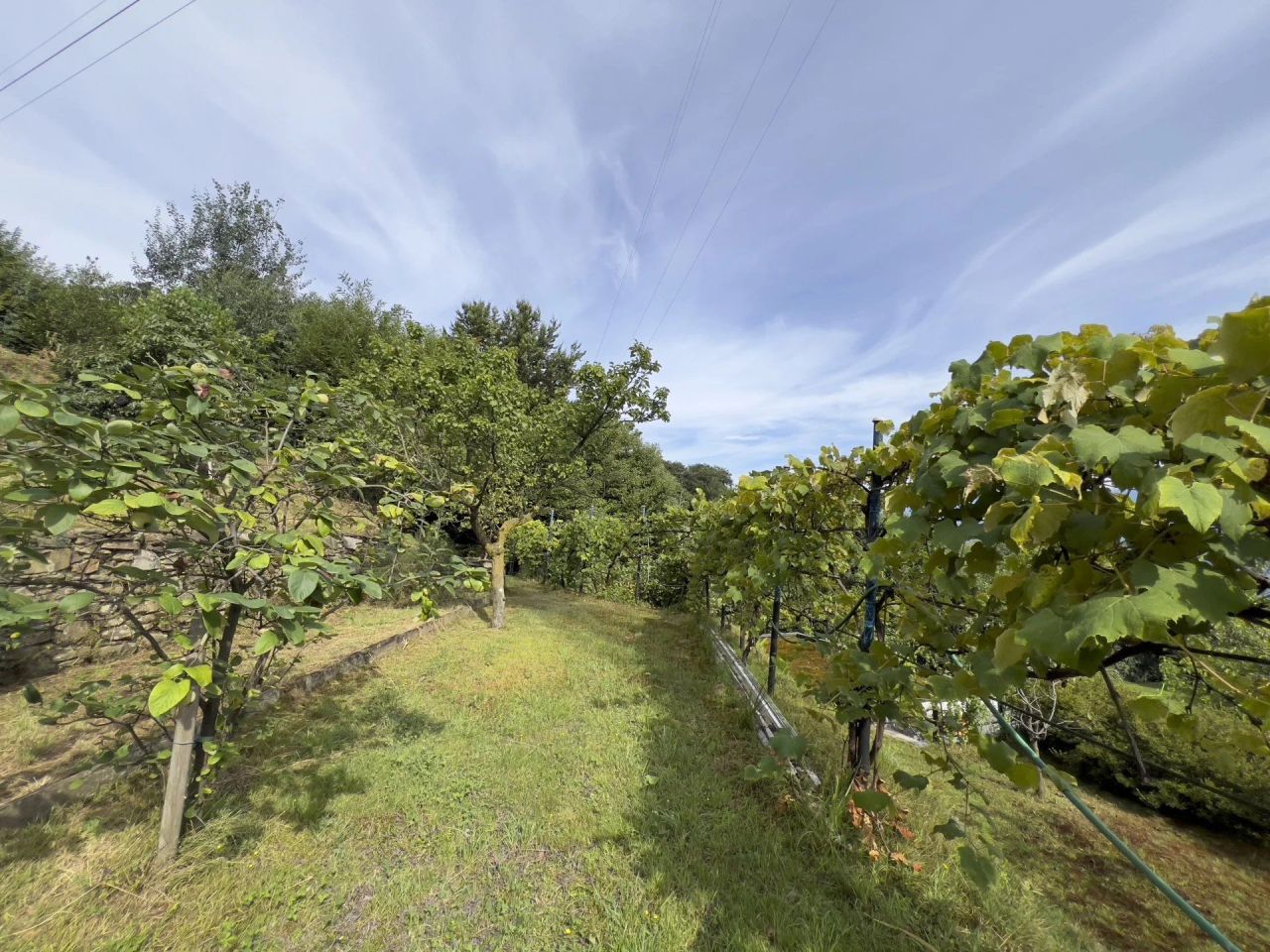 Villa in Stresa, Italy, 330 m² - picture 12