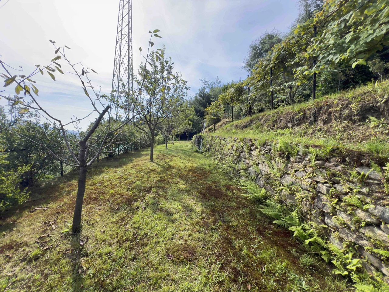 Villa in Stresa, Italy, 330 m² - picture 13