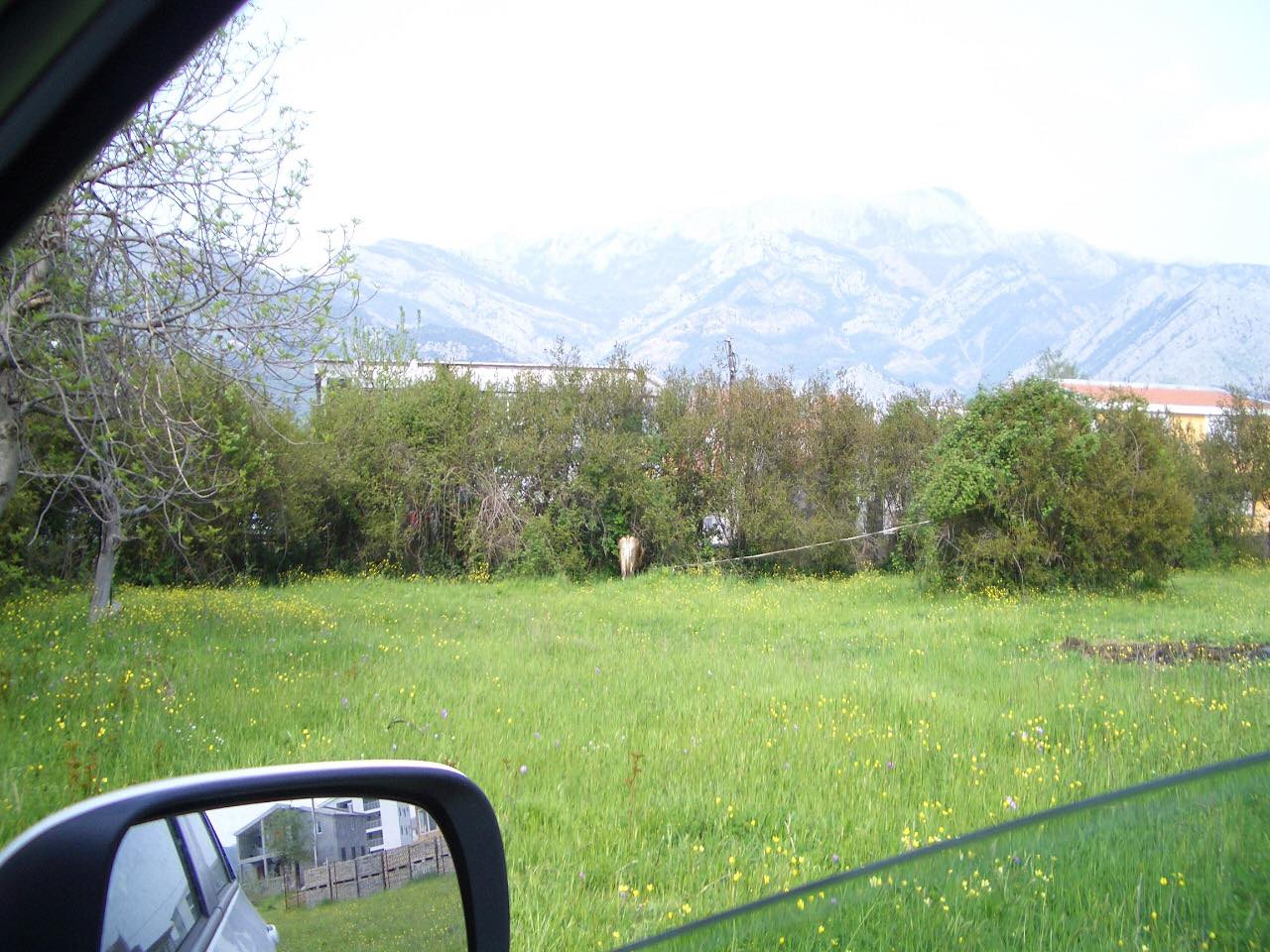 Grundstück in Bar, Montenegro, 7 447 m² - Foto 7