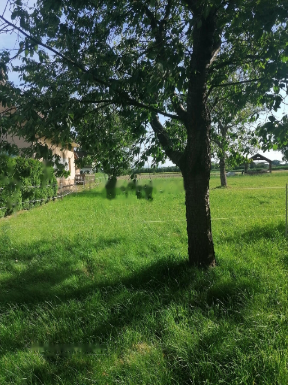 Casa a Ruše, Slovenia, 193 m² - foto 6
