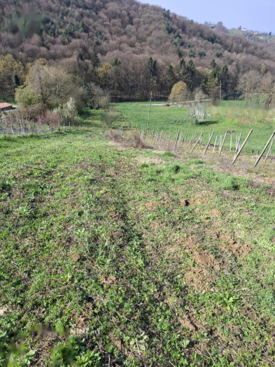 Maison à Malečnik, Slovénie, 75 m² - image 17