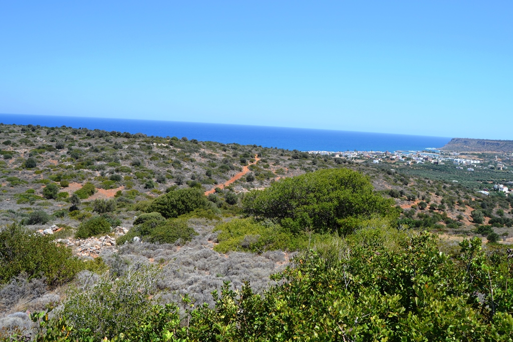 Land in Heraklion, Greece, 13 000 m² - picture 2