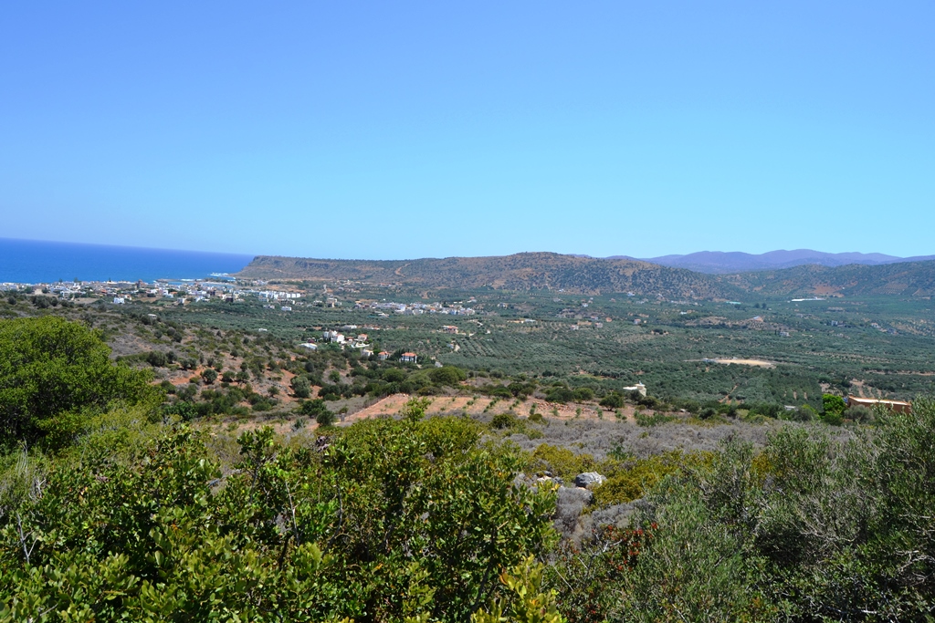 Land in Heraklion, Greece, 13 000 m² - picture 3