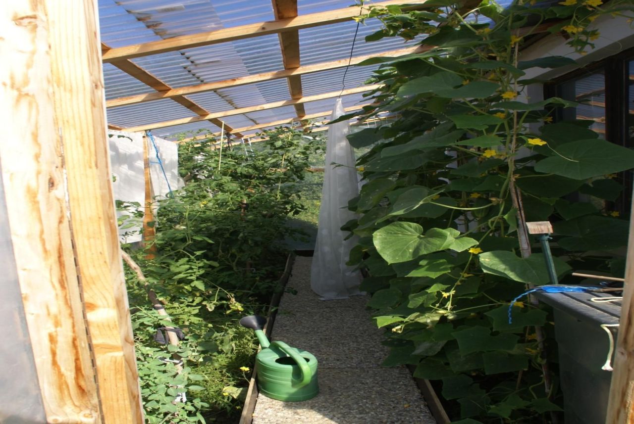 Villa in Heviz, Hungary, 180 m² - picture 4