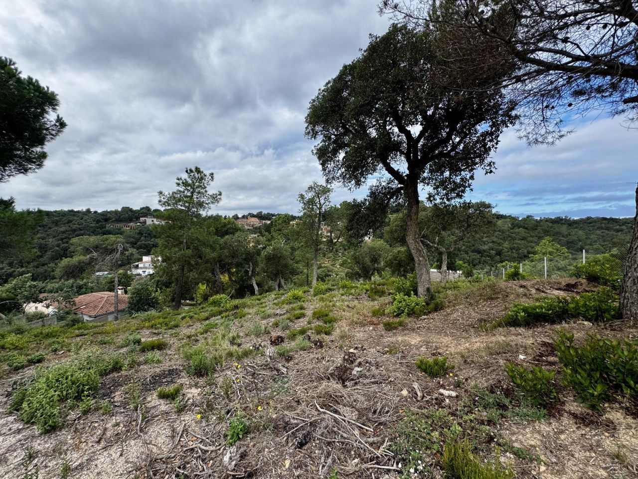 Grundstück in Costa Brava, Spanien, 2 259 m² - Foto 3