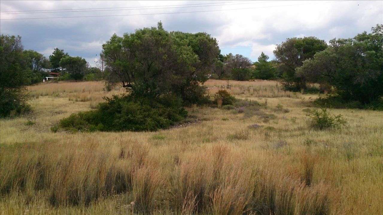 Terreno a Sithonia, Grecia, 5 658 m2 - foto 2