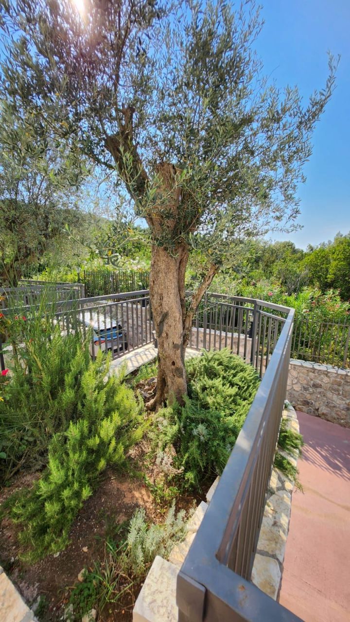 Apartamento en Luštica, Montenegro, 77 m² - imagen 14