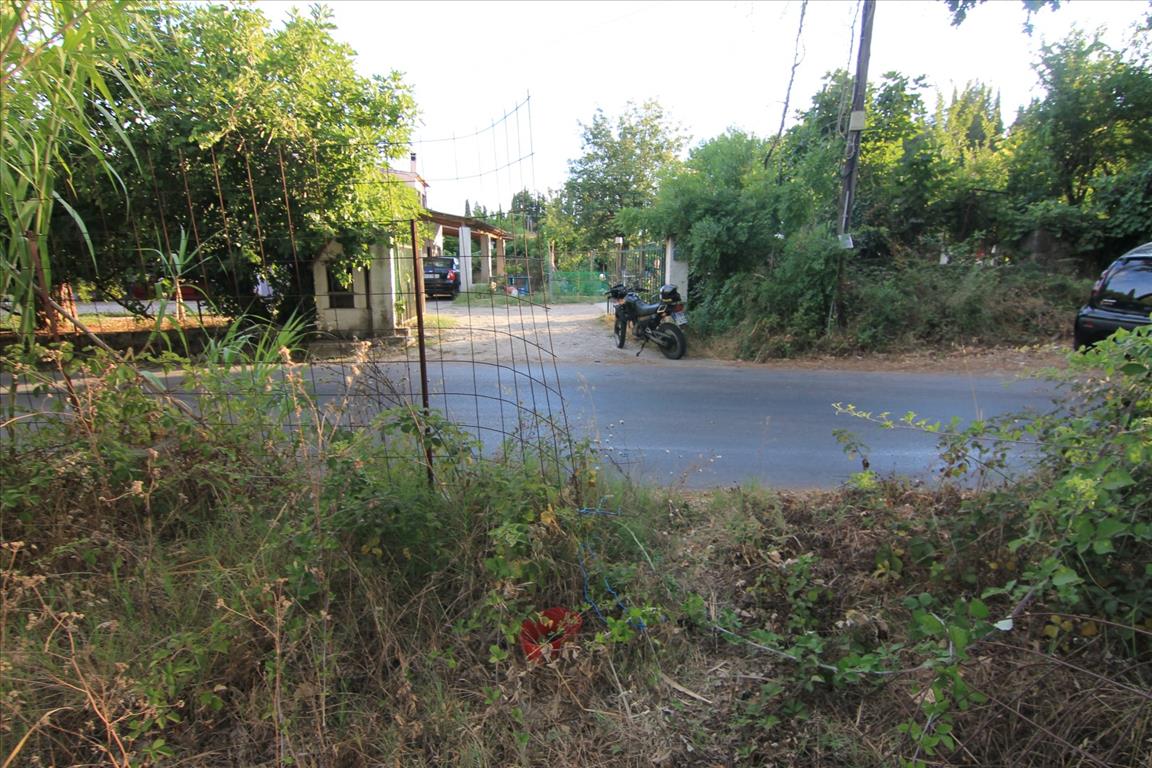 Terrain à Corfou, Grèce, 7 000 m² - image 3