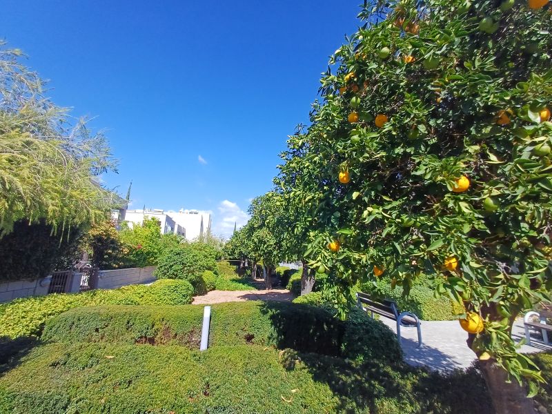 Cottage a Paphos, Cipro, 92 m² - foto 2