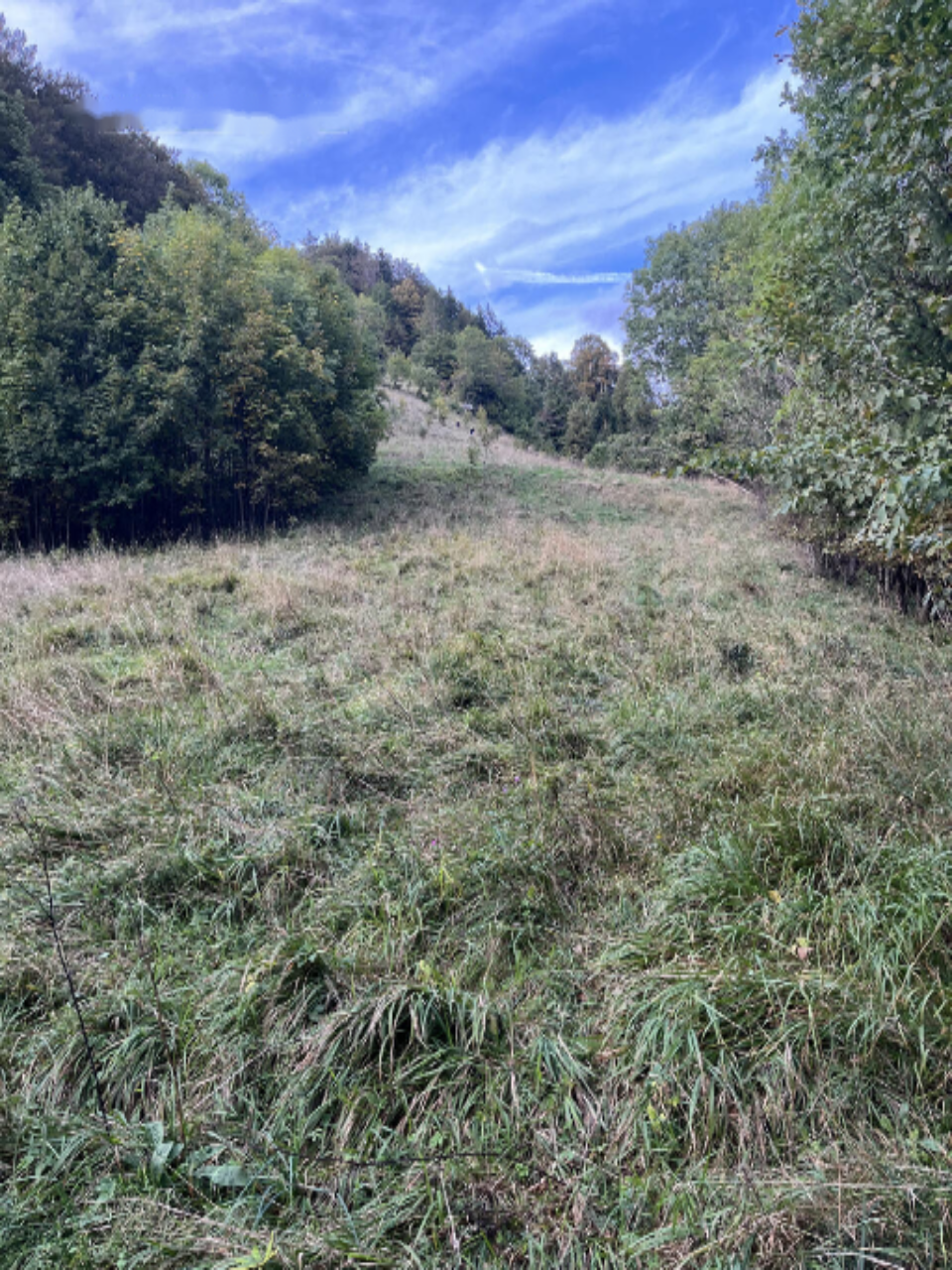 Casa en Liubliana, Eslovenia, 132 m² - imagen 7