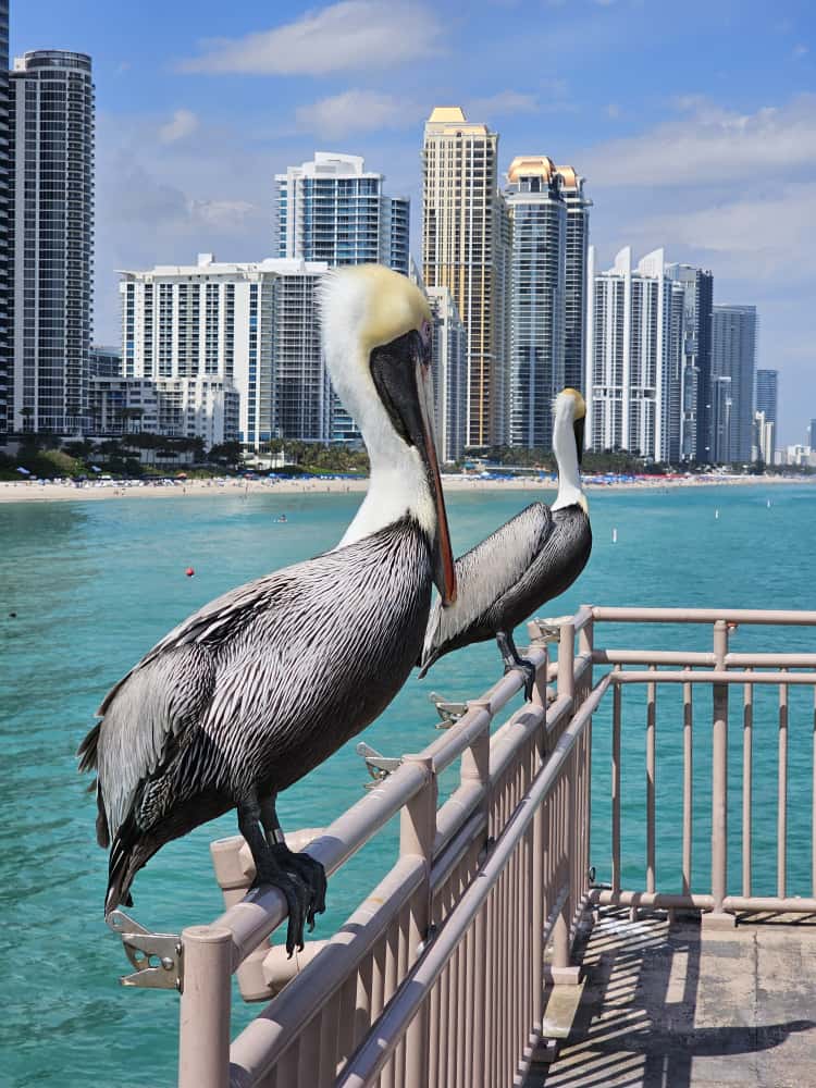 Appartement à Miami Beach, États-Unis, 90 m² - image 1