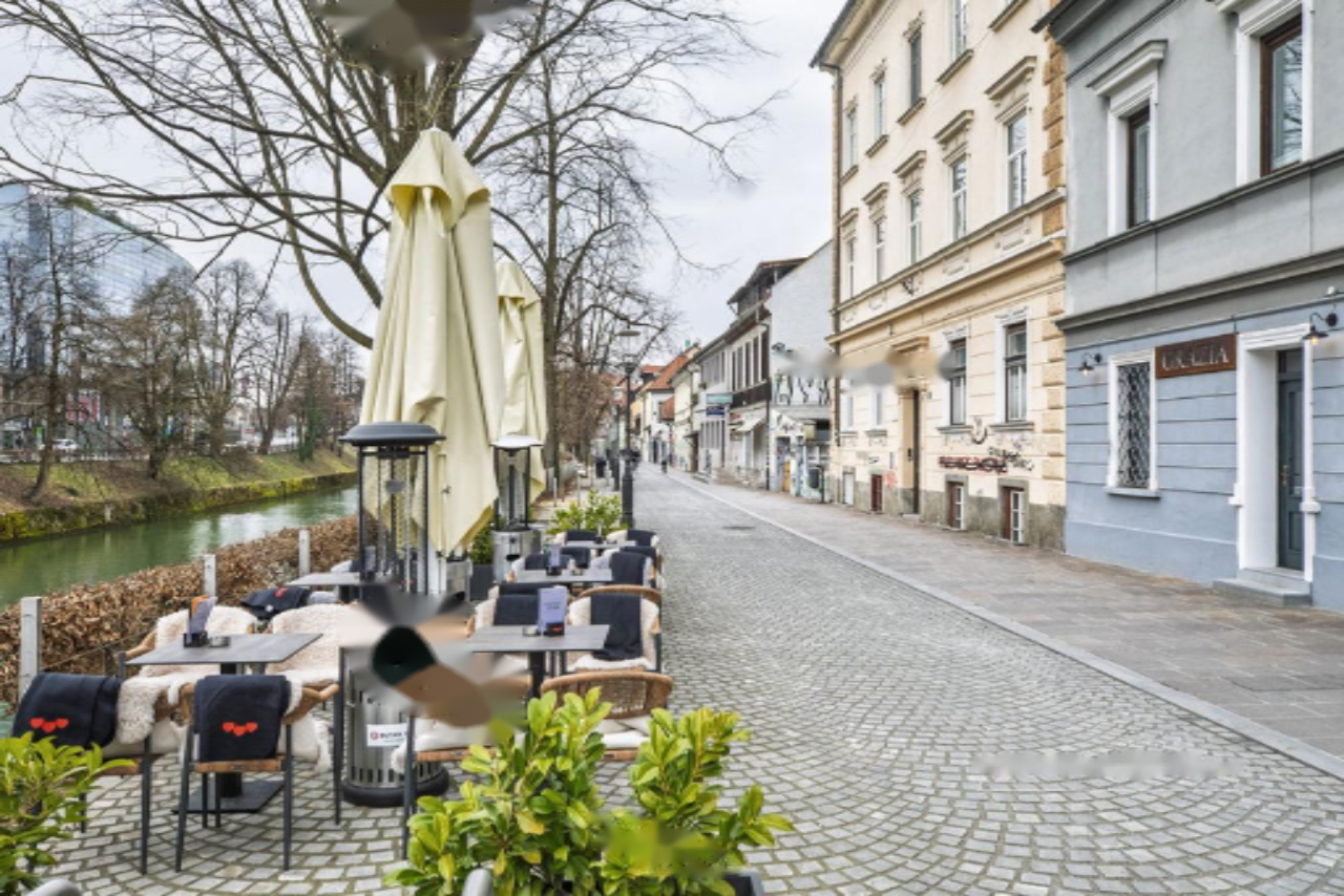 Maison à Ljubljana, Slovénie, 477 m² - image 4