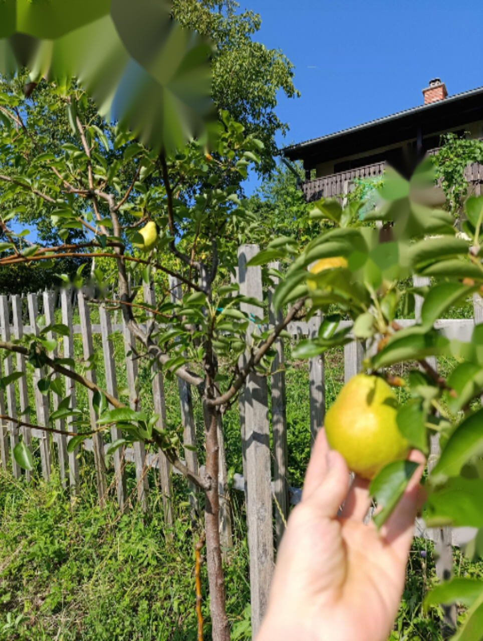 Casa a Nova Gorica, Slovenia, 105 m² - foto 6