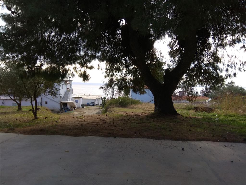 Terreno a Sithonia, Grecia, 900 m2 - foto 1