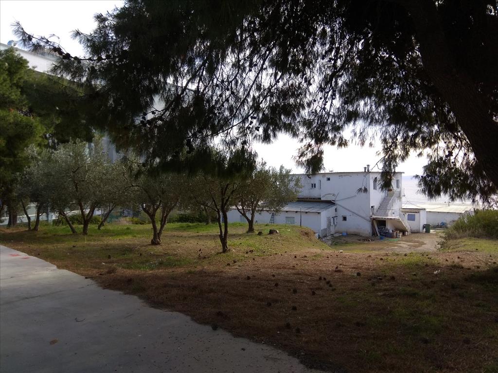 Terreno a Sithonia, Grecia, 900 m2 - foto 4