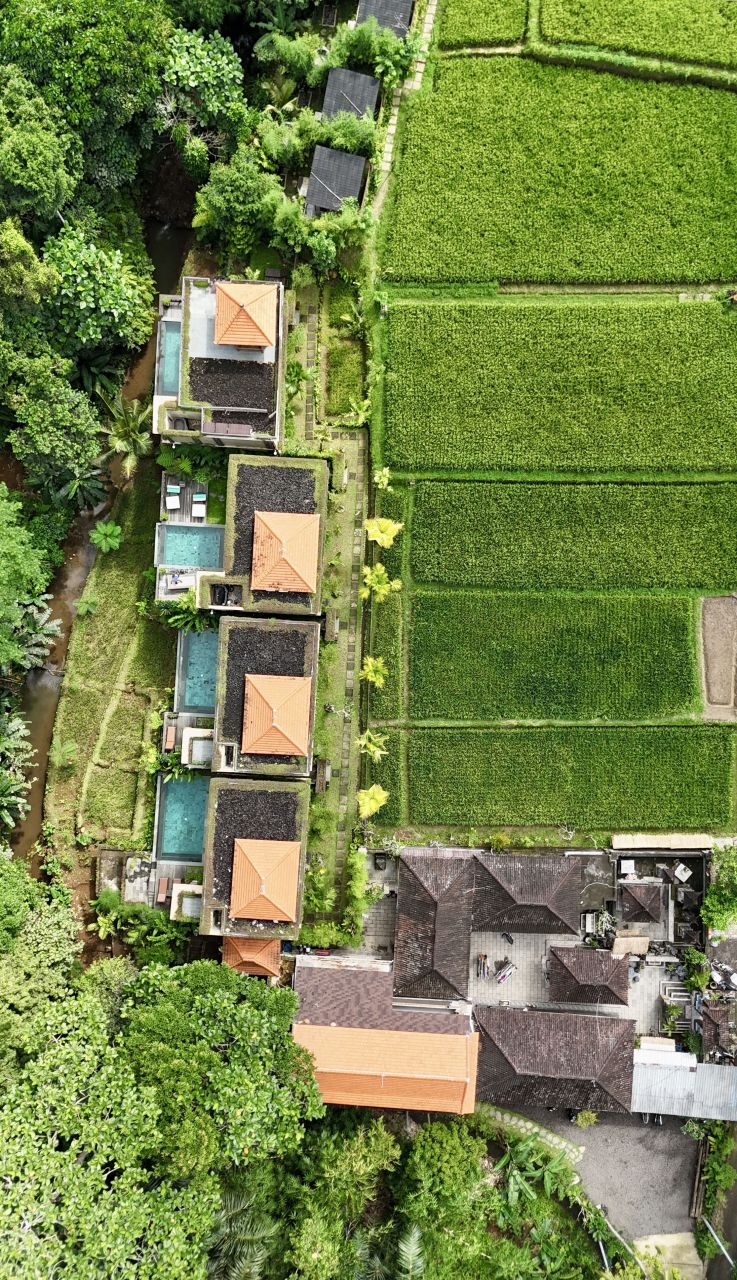 Villa in Ubud, Indonesien, 80 m² - Foto 6