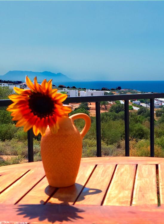 Appartement à Esentepe, Chypre, 45.5 m² - image 8