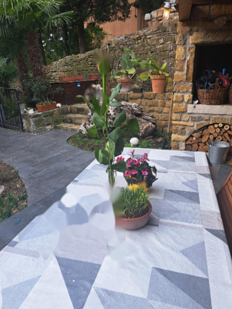 Haus in Portorož, Slowenien, 499 m² - Foto 8