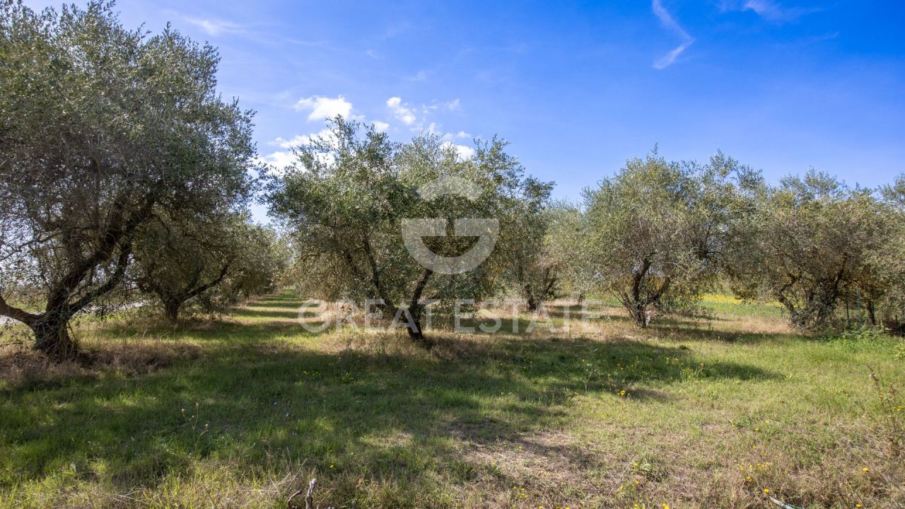 House in Castiglione del Lago, Italy, 468.8 m² - picture 9