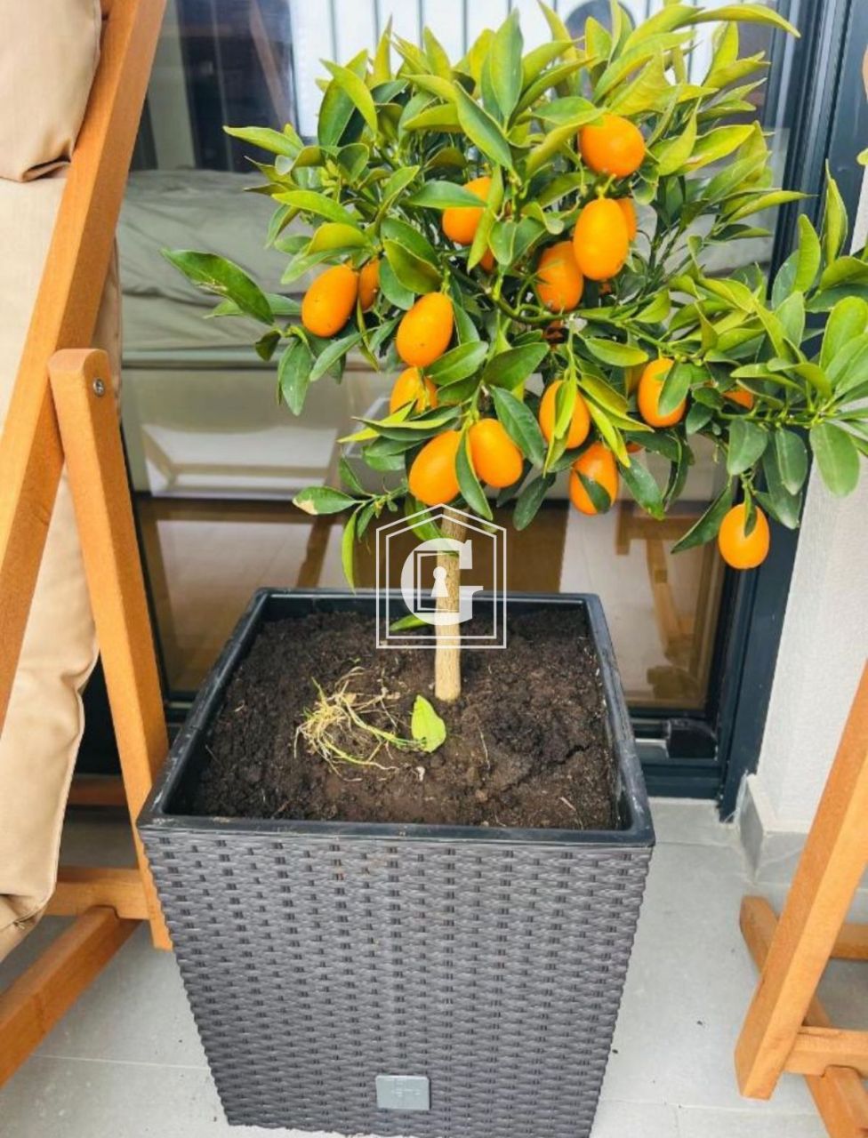 Appartamenti a Becici, Montenegro, 45 m² - foto 16