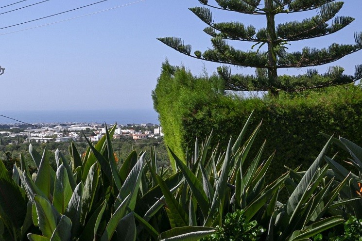 Bungalow in Paphos, Cyprus, 450 m² - picture 15