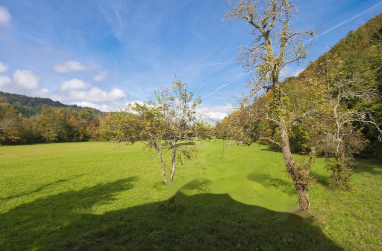 Granja en Ig, Eslovenia, 326 m² - imagen 1