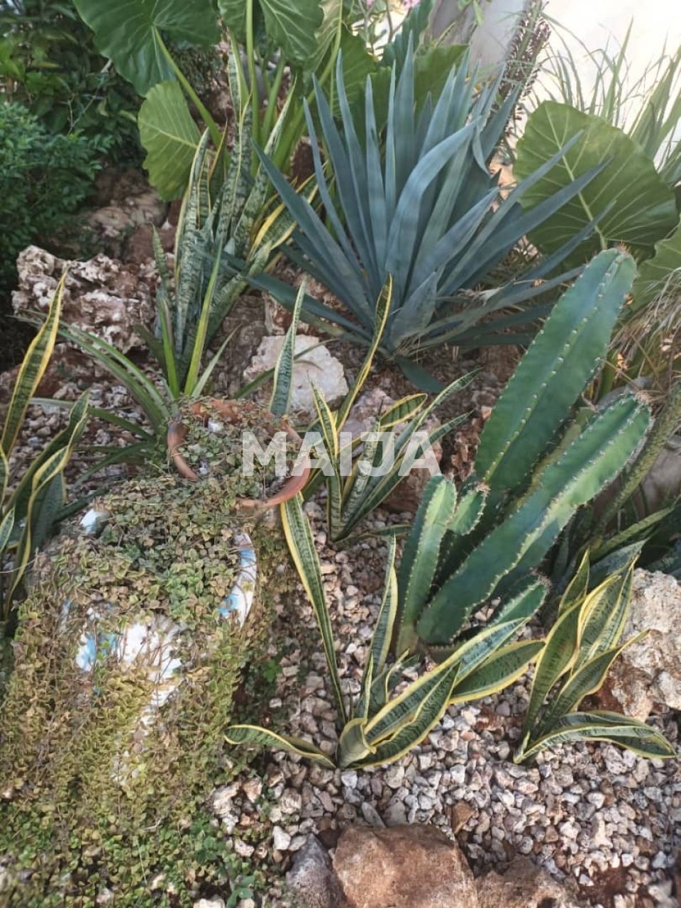 Haus Nungwi, Tansania, 60 m² - Foto 13