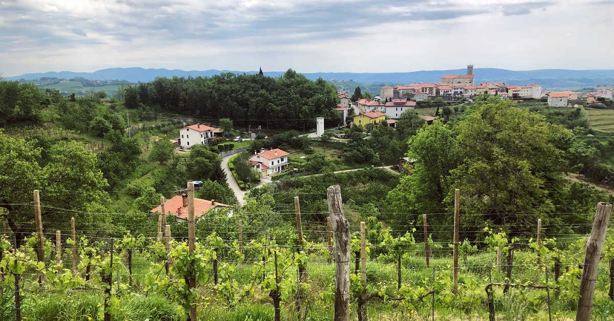 Terrain Gradishche pri Materii, Slovénie, 64 253 m² - image 2