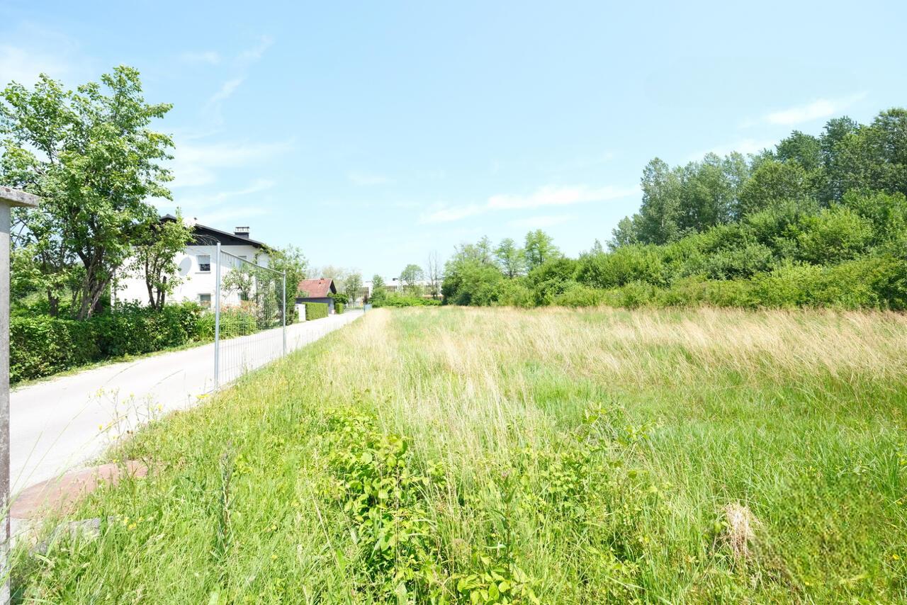 Villa in Ljubljana, Slovenia, 400 m² - picture 3