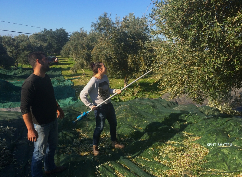 Terrain à Ajdovščina, Slovénie, 44 041 m² - image 4