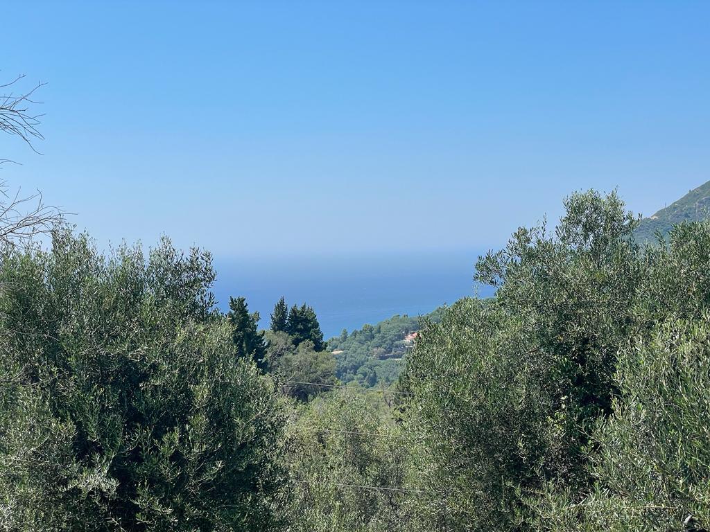 Land in Corfu, Greece, 1 202 m² - picture 2
