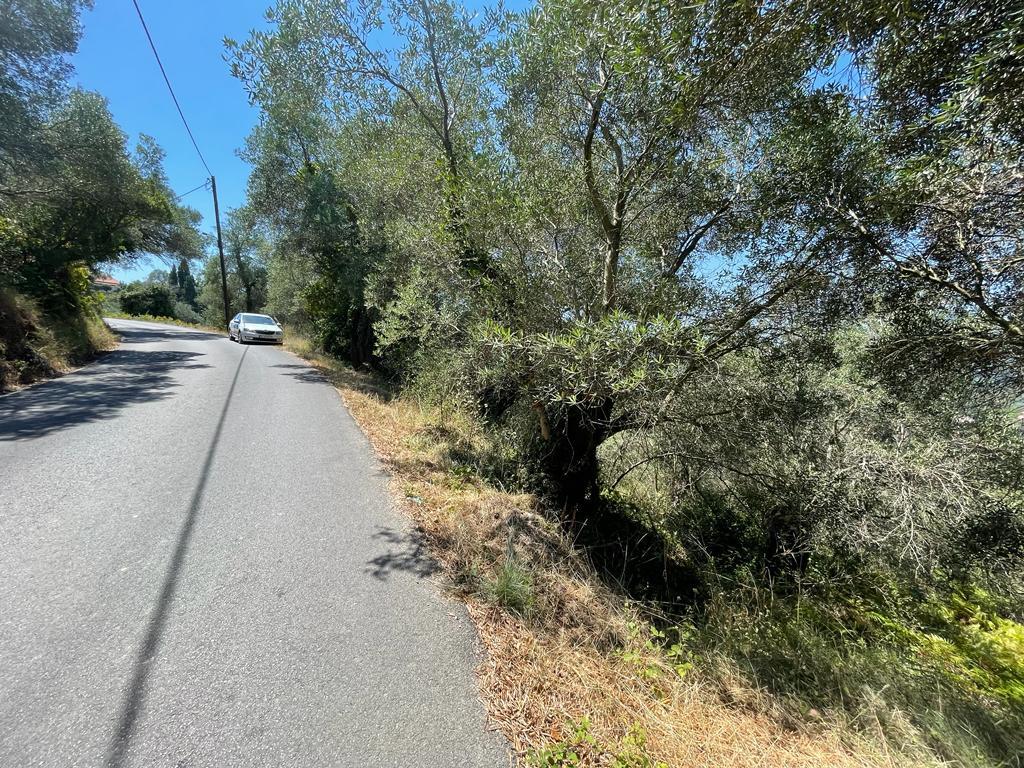 Land in Corfu, Greece, 1 202 m² - picture 8