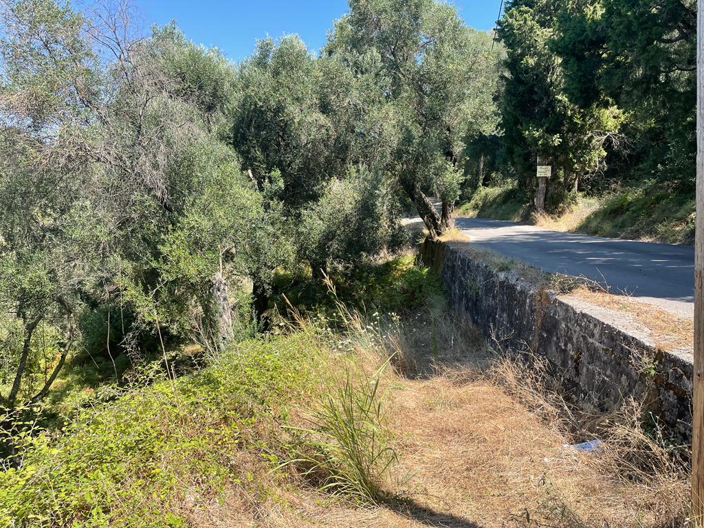 Land in Corfu, Greece, 1 202 m² - picture 10