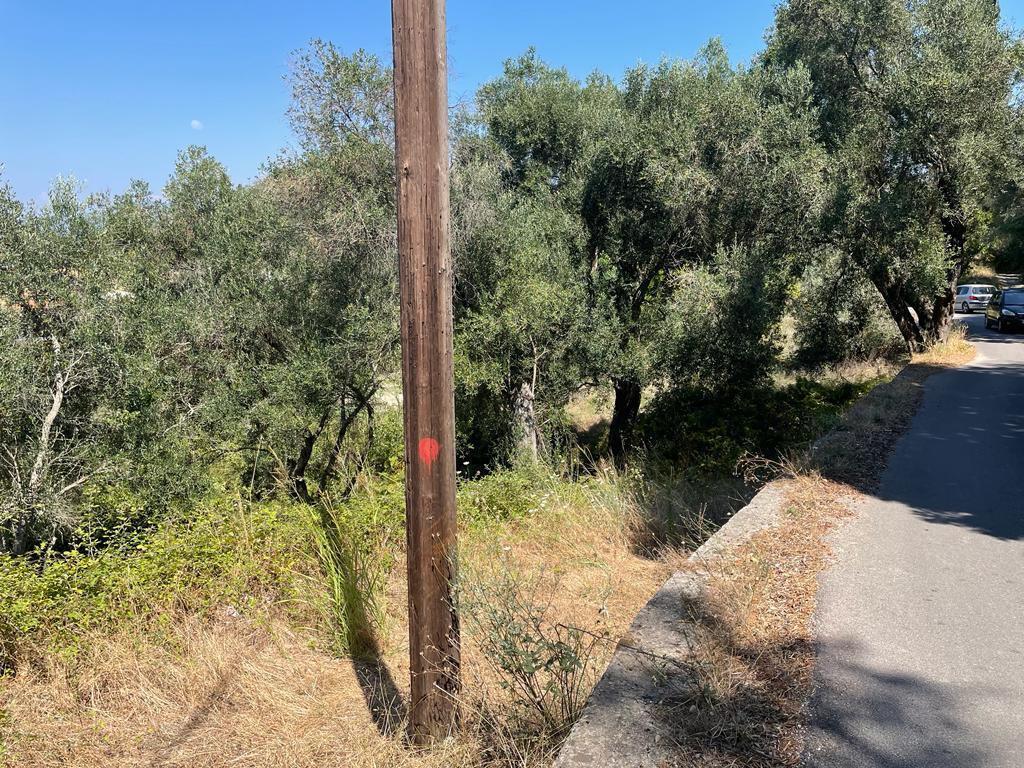 Land in Corfu, Greece, 1 202 m² - picture 12