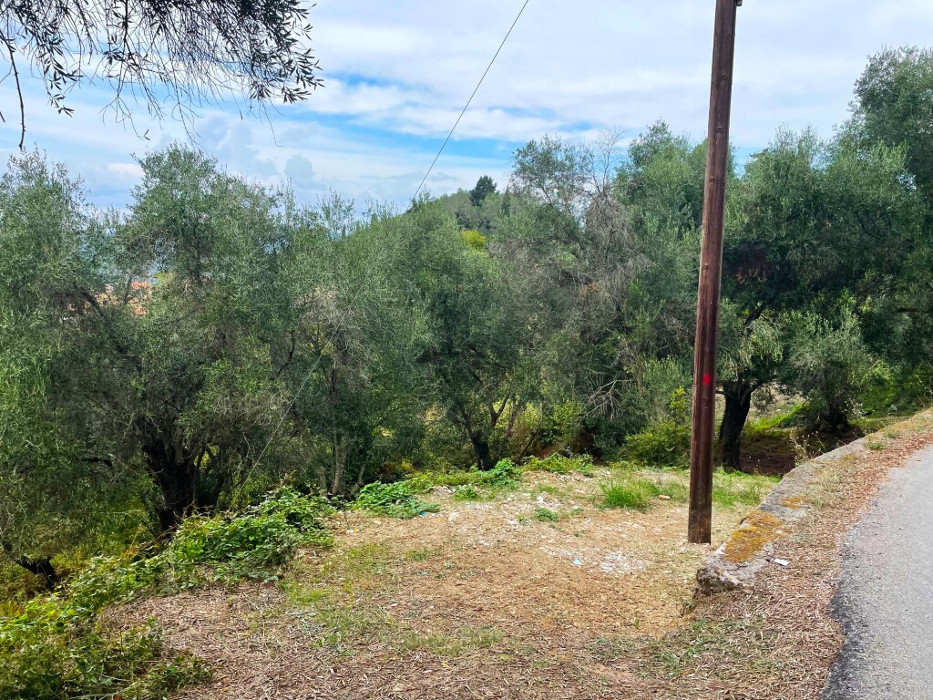 Land in Corfu, Greece, 1 202 m² - picture 14