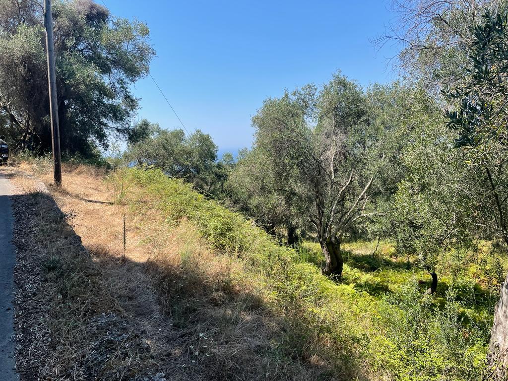 Land in Corfu, Greece, 1 202 m² - picture 15