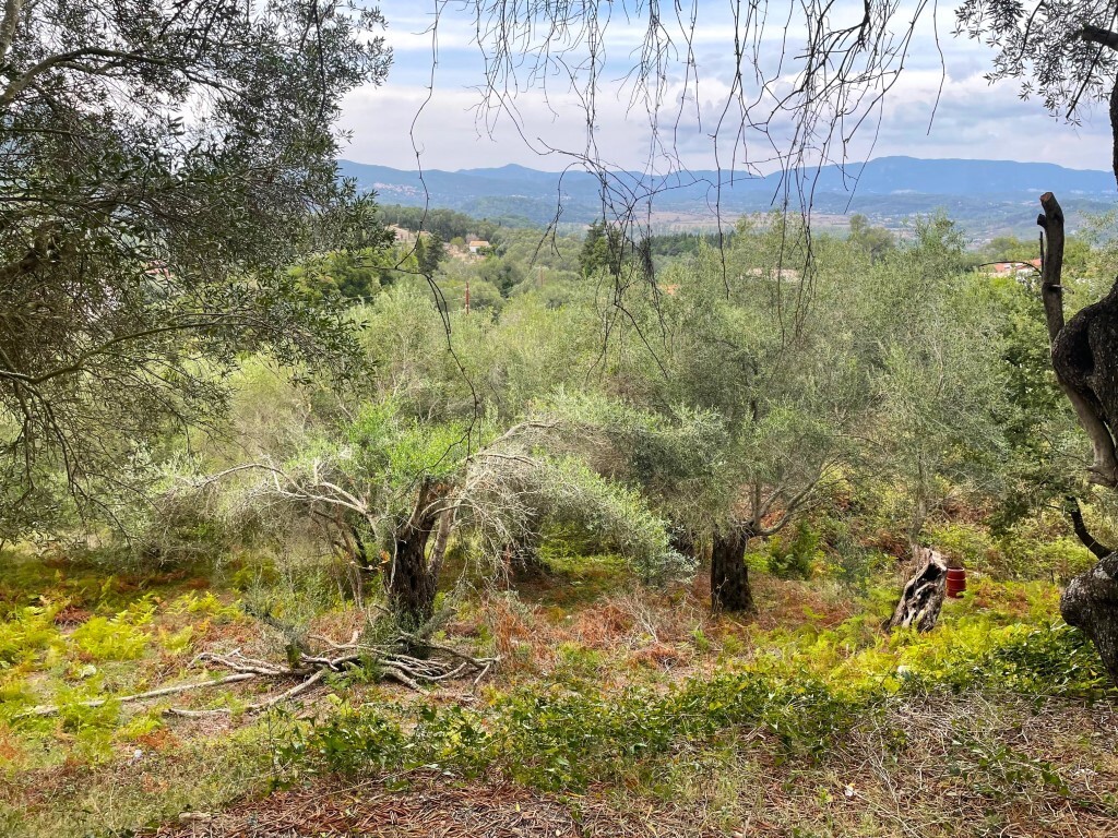 Land in Corfu, Greece, 1 202 m² - picture 17