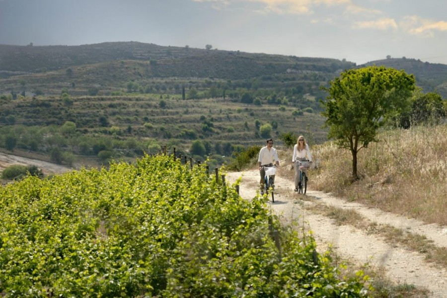 Villa in Paphos, Cyprus, 144 m² - picture 15