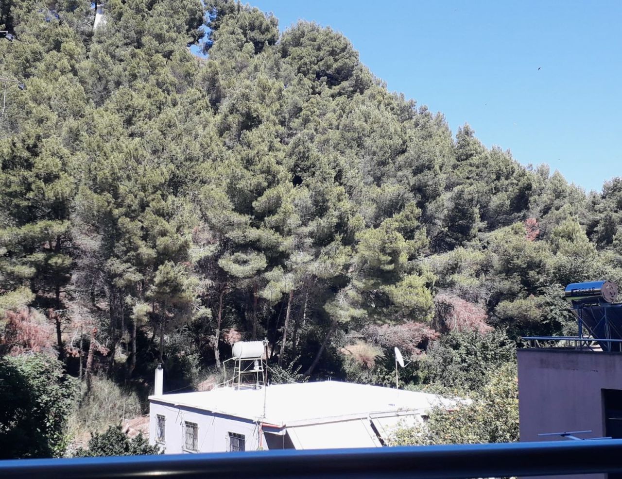 Flat in Durres, Albania, 60 m² - picture 10