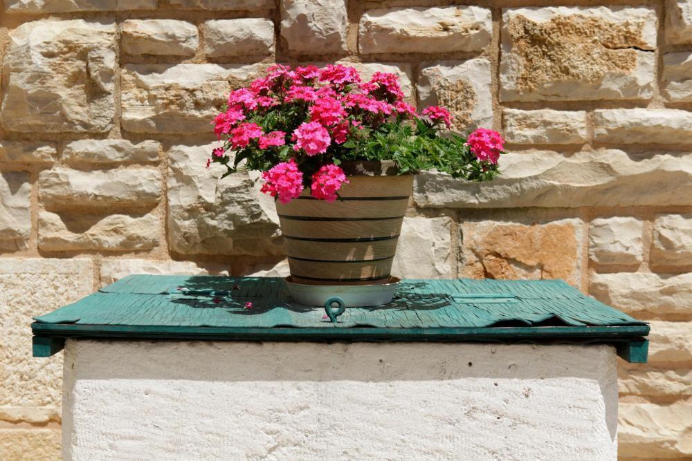 Hotel on Korcula island, Croatia, 612 m² - picture 4