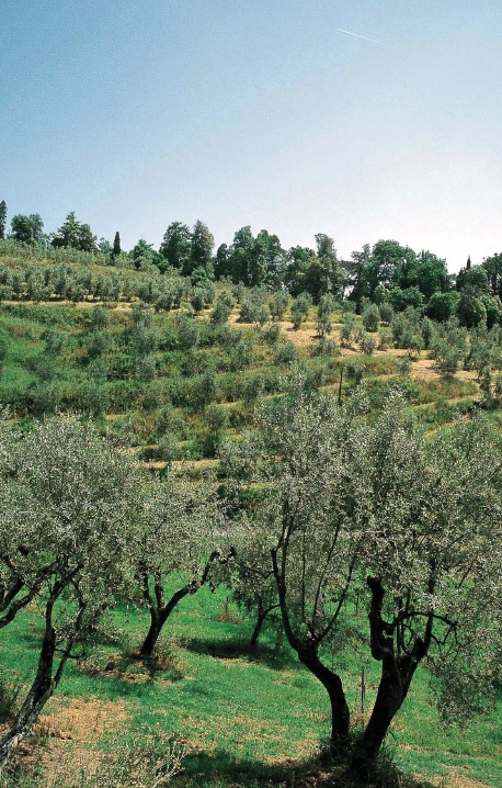 Terreno sulla penisola di Luštica, Montenegro, 2 800 m2 - foto 6