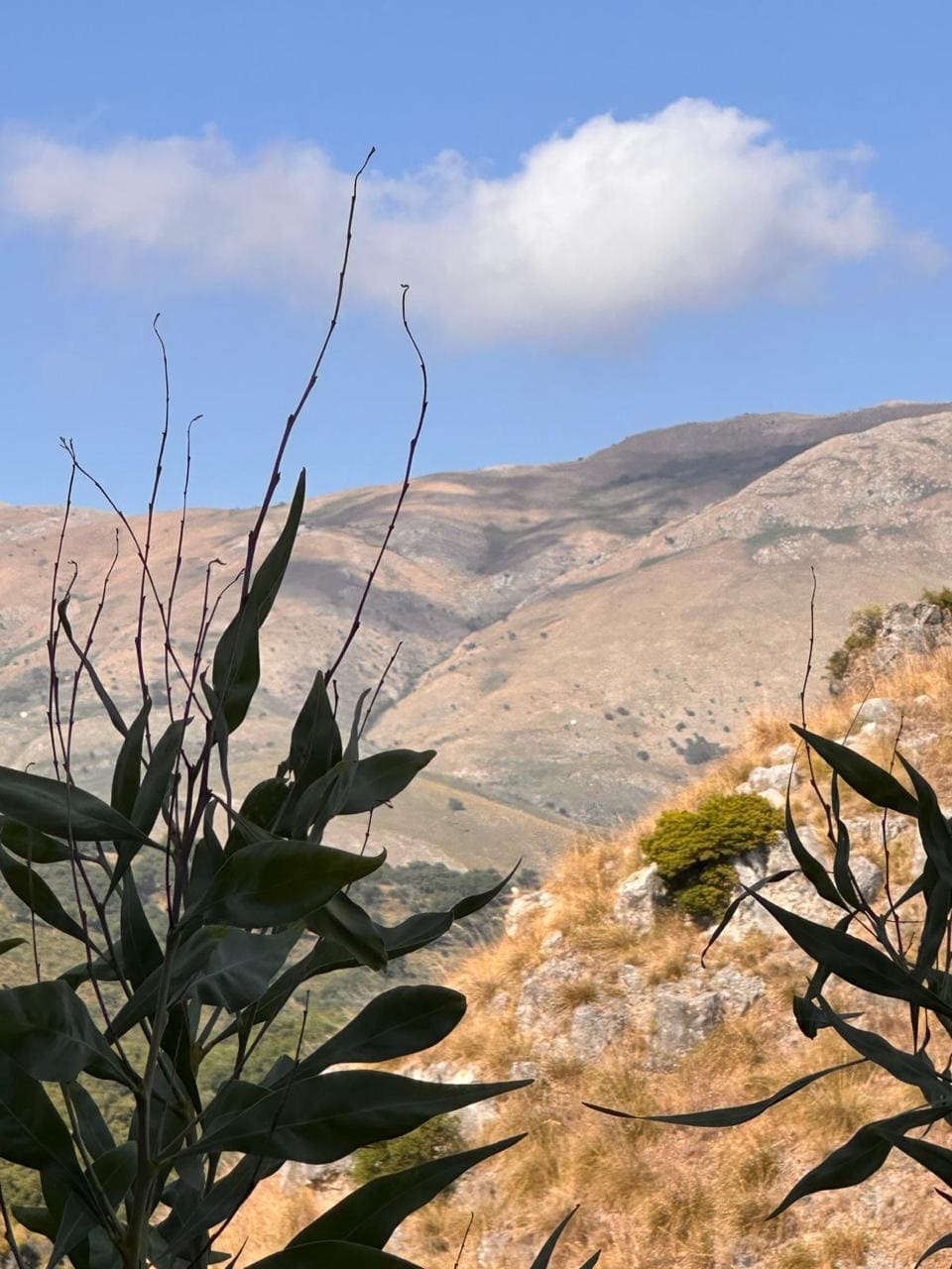 Appartamenti a Scalea, Italia, 65 m² - foto 18