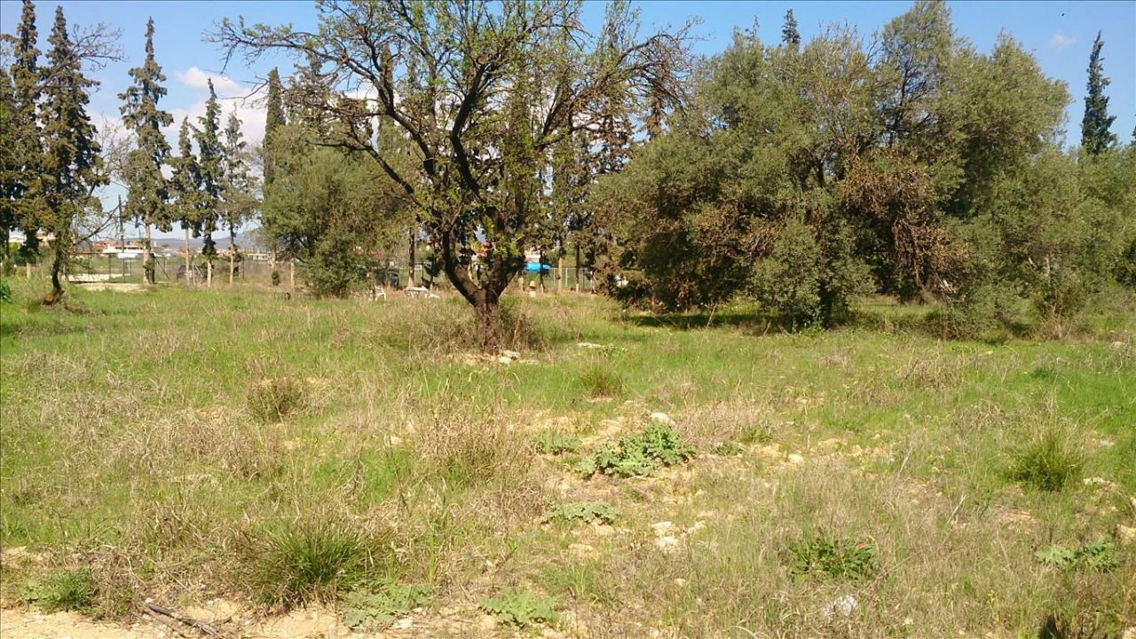 Terreno en Sitonia, Grecia, 835 m² - imagen 5