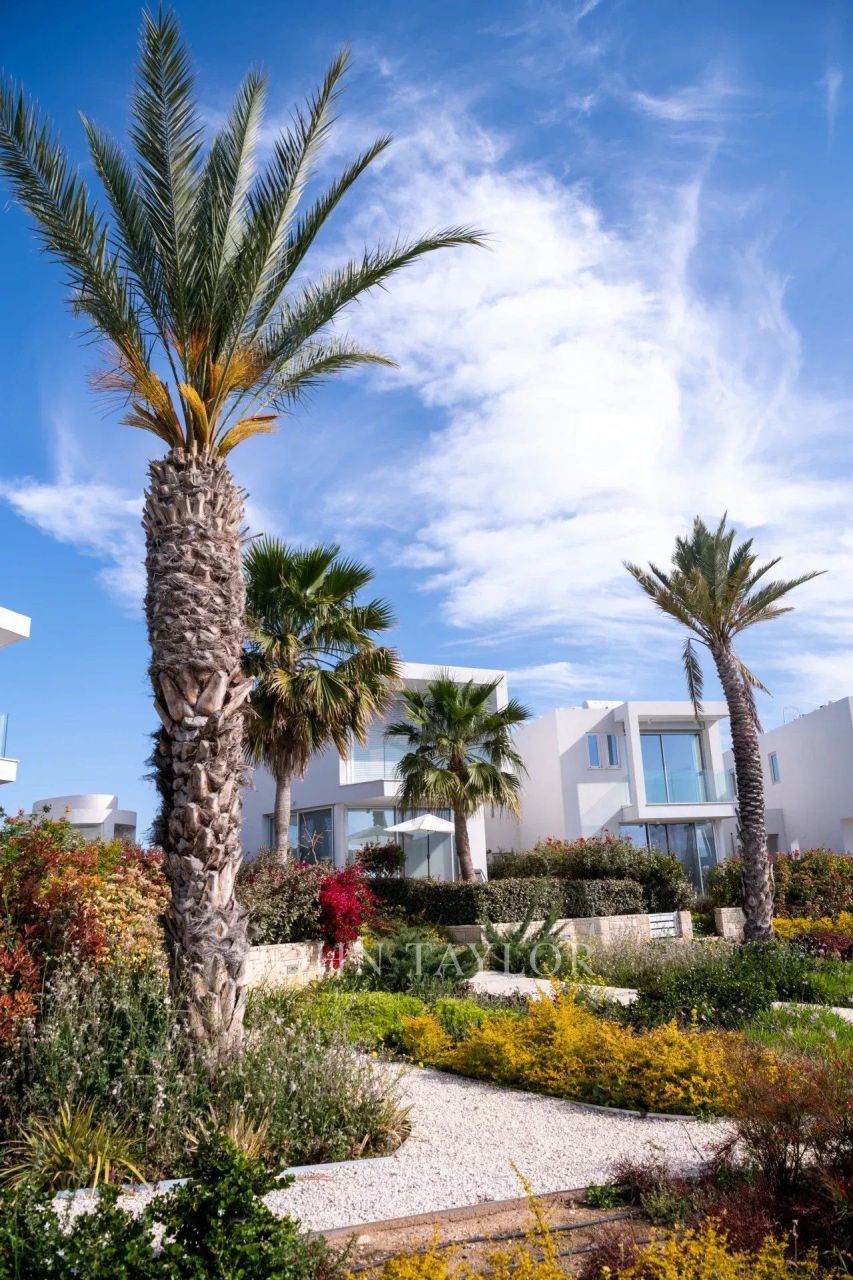 Villa in Peyia, Zypern, 270 m² - Foto 5