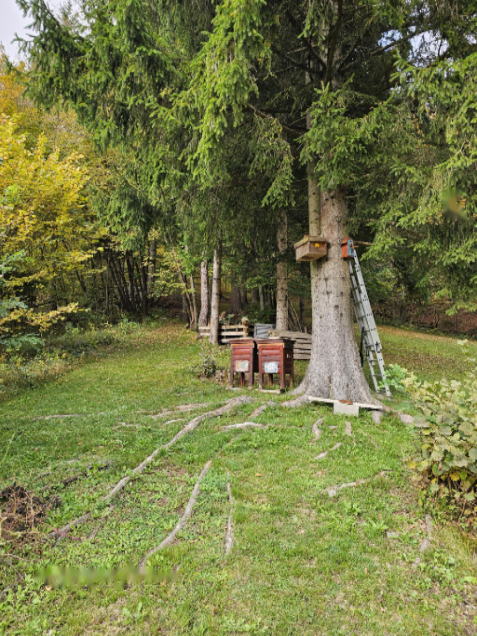 Casa a Bled, Slovenia, 259 m² - foto 5