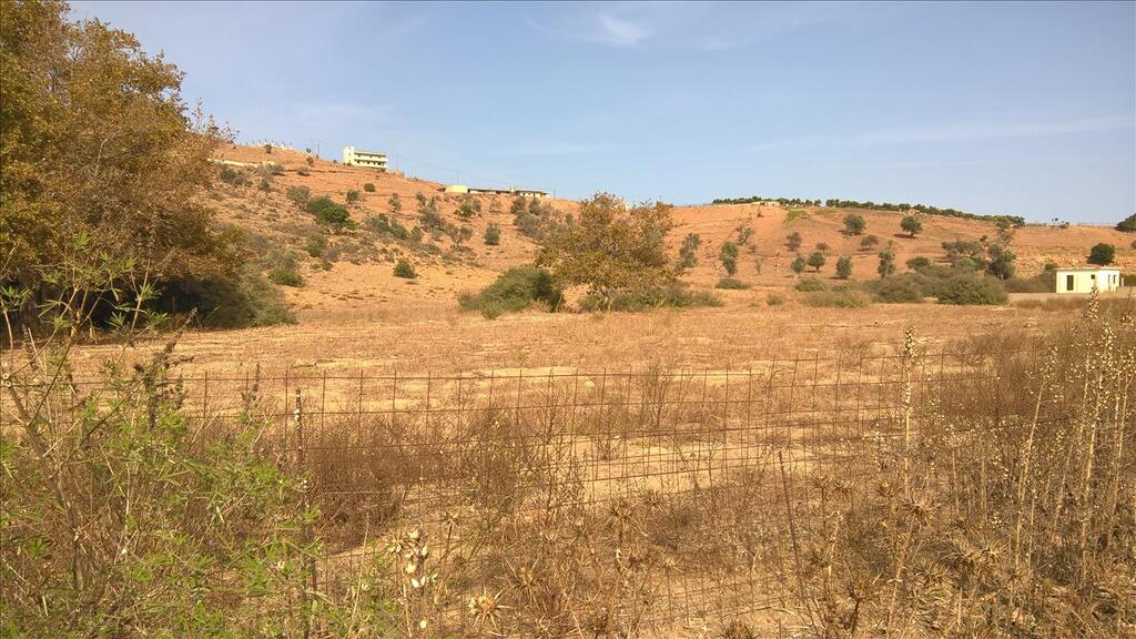 Terrain à Héraklion, Grèce, 100 000 m² - image 5