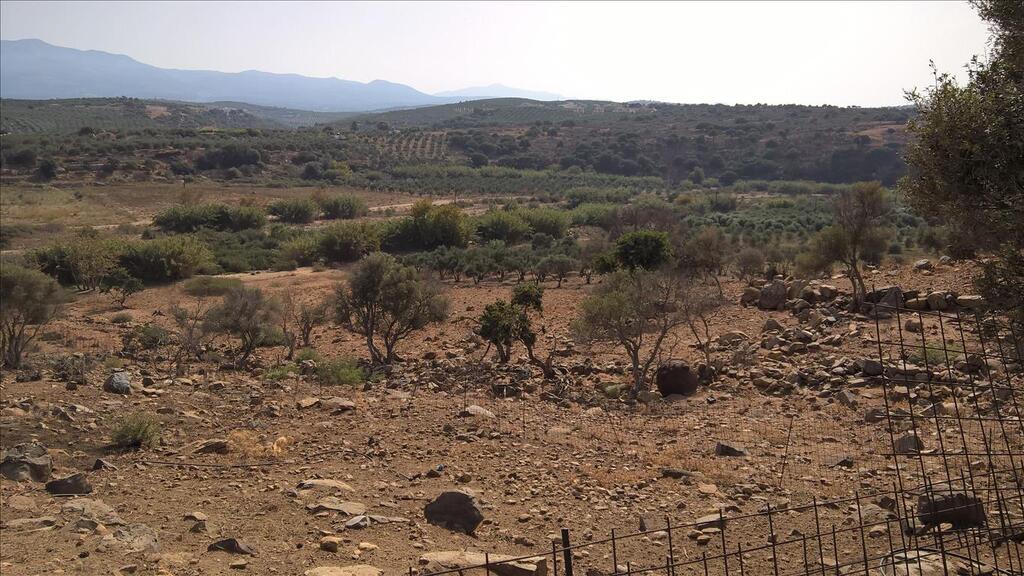 Terrain à Héraklion, Grèce, 100 000 m² - image 8