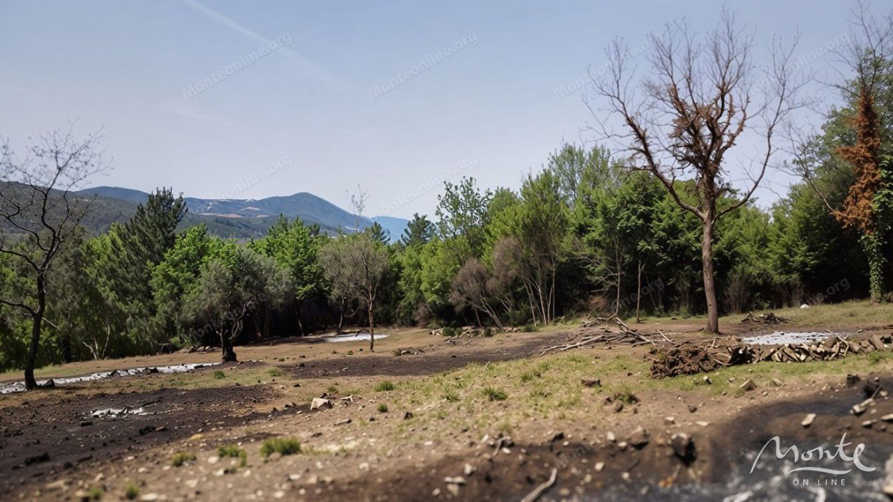 Terreno a Kotor, Montenegro, 4 347 m2 - foto 4